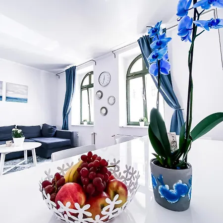 Zentraler Altbau Am Clara-zetkin-park, Rb-arena Um Ecke, Netflix Inklusive Apartment *